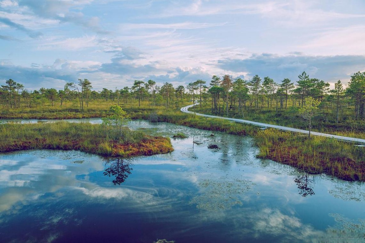 West Coast Haiwei Wetland Park